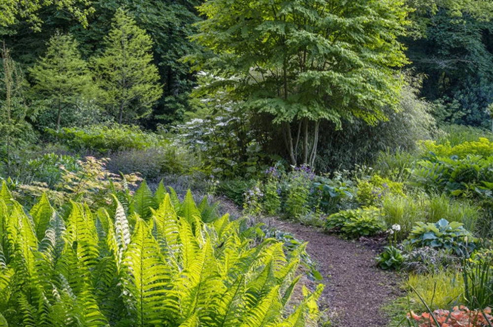 Waldgarten